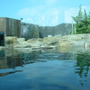Toledo Zoo 2003 - Interchangeable exhibit for Seals and Polar Bears?