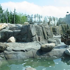 Toledo Zoo 2003 - Polar Bear exhibit