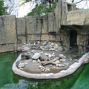 Toledo Zoo 2003 - Penguin exhibit