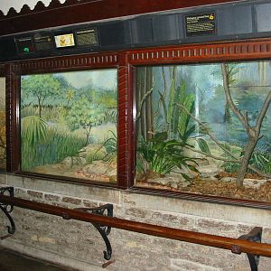 Toledo Zoo 2003 - Snake exhibits in the famous Reptile House