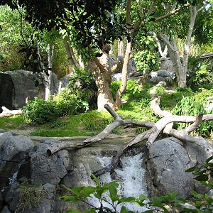 San Diego Zoo 2003 - Part of the Gorilla exhibit