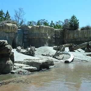 San Diego Zoo 2003 - Polar Bear Plunge