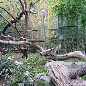 San Diego Zoo 2003 - Part of the Giant Panda exhibit
