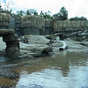 San Diego Zoo 2003 - Polar Bear Plunge