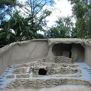 San Diego Zoo 2003 - Japanese Serow exhibit