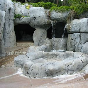 San Diego Zoo 2003 - Alaskan Brown Bear exhibit in Bear Canyon