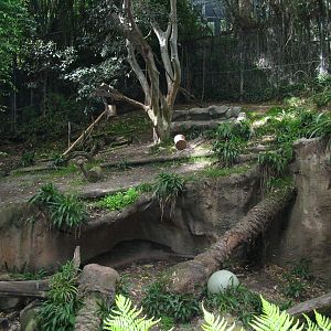 San Diego Zoo 2003 - Part of the Malayan Tiger exhibit