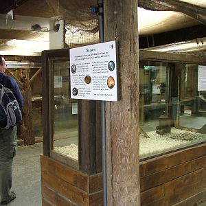 Barn exhibit at the British Wildlife Centre 14/03/10
