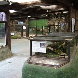 Hedgerow exhibits at the British Wildlife Centre 14/03/10