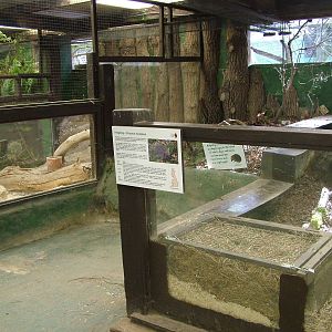 Hedgerow exhibits at the British Wildlife Centre 14/03/10