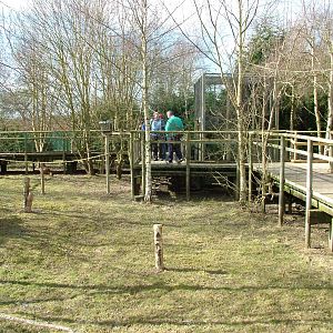 Red Squirrel walkthrough at the British Wildlife Centre 14/03/10