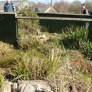 Snake exhibits at the British Wildlife Centre 14/03/10