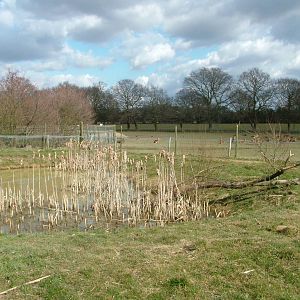 Otter pool and deer park at the British Wildlife Centre 14/03/10