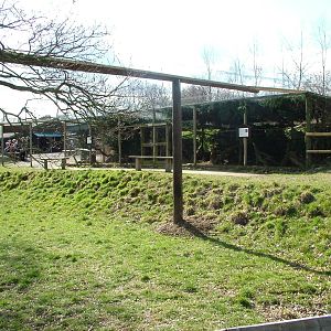 Pine Marten exhibits at the British Wildlife Centre 14/03/10