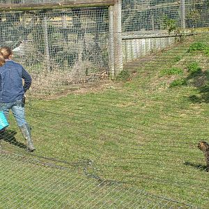 Stalking the Bucket at the British Wildlife Centre 14/03/10