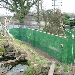 Mink and Polecat exhibits at the British Wildlife Centre 14/03/10