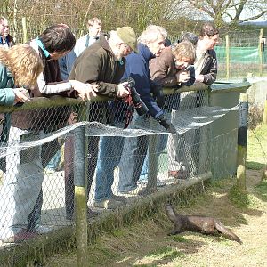 IZES UK Zoo Collectors Fair 2010, British Wildlife Centre