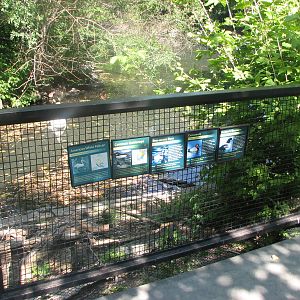 North American Waterfowl Ponds