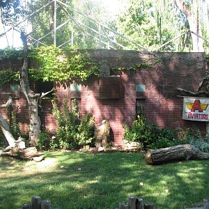 Bird Show Amphitheater