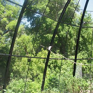 Kennicott Wetlands aviary