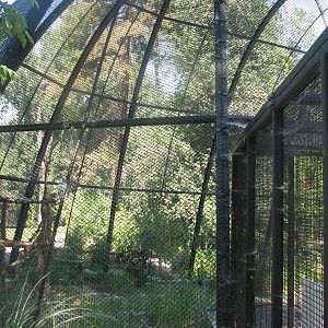 Kennicott Wetlands aviary