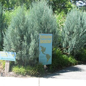 Destination Argentina