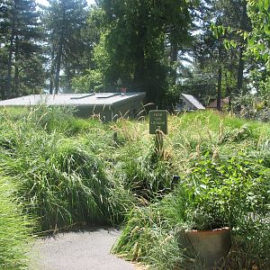 Destination Argentina