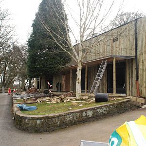 UPDATE ON ORANG UTAN HOUSE