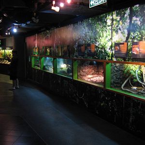 reptile vivariums
