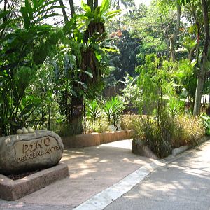 Dinosaur Descendants