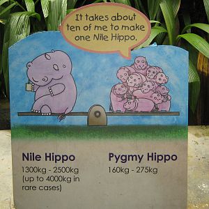 signage by the pigmy hippos