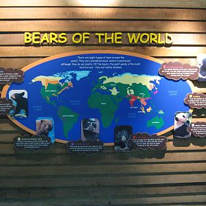 signage by the sun bears