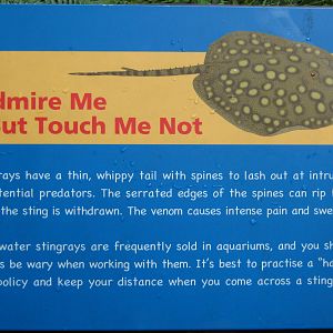 freshwater stingray signage