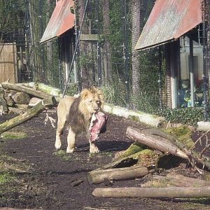 Trail of the Kings February 2010