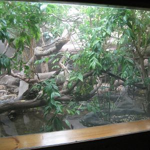 Anaconda exhibit