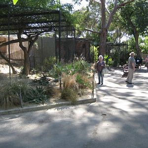 Small Carnivore cages