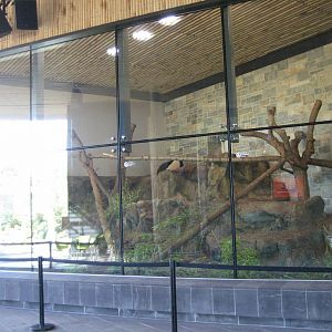 Funi's Indoor enclosure