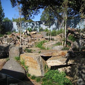 Wang Wang's exhibit with Wang Wang