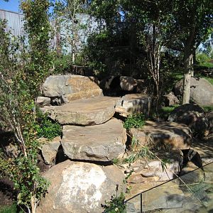 Wang Wang's exhibit with Wang Wang