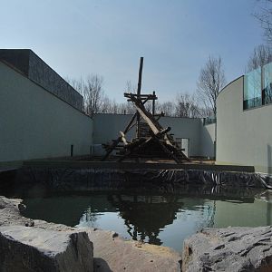Orangutan exhibit - under construction