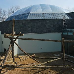 Orangutan exhibit - under construction