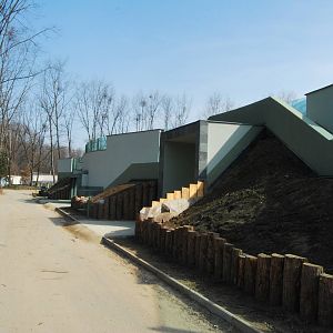 Orangutan exhibit - under construction