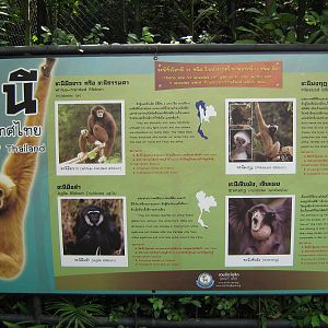 Gibbons Of Thailand signage
