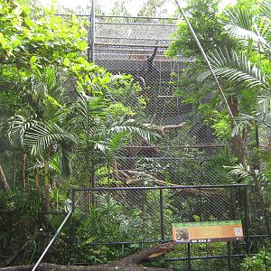agile gibbon enclosure