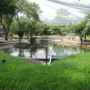 waterbird aviary