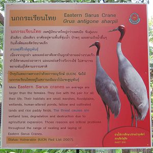 sarus crane signage