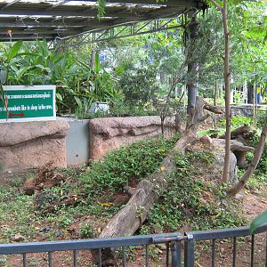 one half of the wombat enclosure