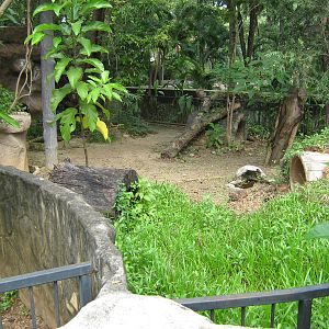 other half of the wombat enclosure