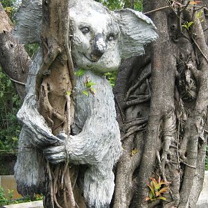 koala statue in the Australian area