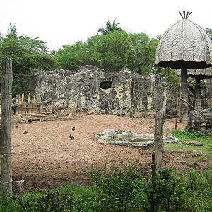 African plains exhibit